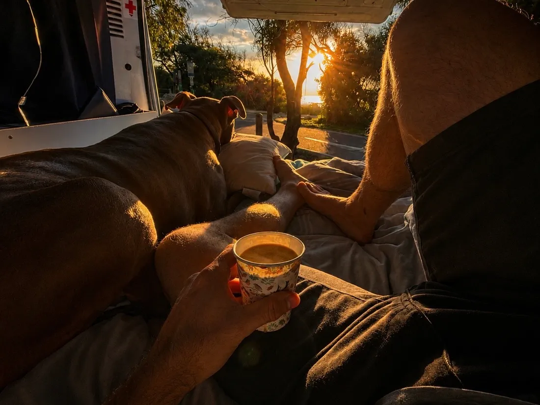 Coffee in the back of the van at sunset, with Chief stretched out on the bed